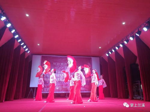 放歌新時(shí)代，文化進(jìn)萬(wàn)家——記2019新春文化系列活動(dòng)與蘭溪水鳥藝術(shù)團(tuán)的基層之旅