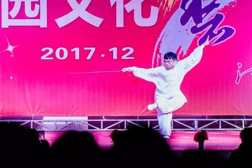 第28屆文化藝術(shù)節(jié)文藝匯演獲獎(jiǎng)名單揭曉 文化交流活動(dòng)成果斐然