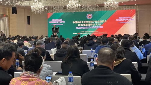 粽香飄四海，百億啟新程——2023全國粽子行業(yè)理事會擴大會議暨文化藝術(shù)交流活動圓滿召開